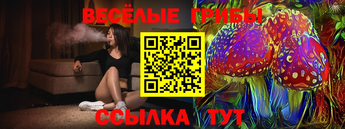 Псилоцибиновые грибы Psilocybe  Вход с VPN  закладки  Псилоцибиновые грибы мухоморы  Новороссийск 